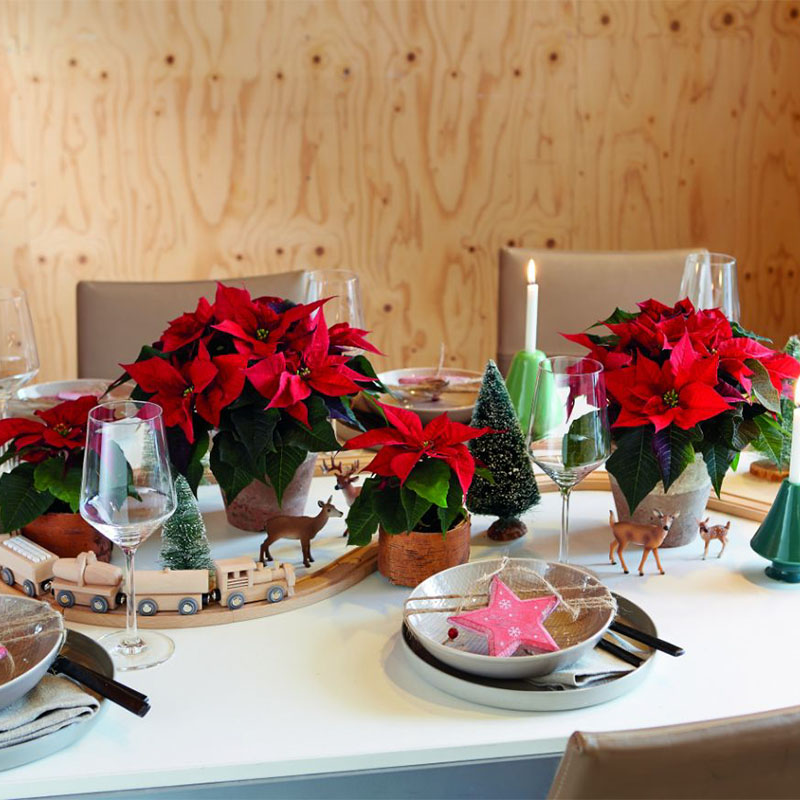 xmas floral table arrangements