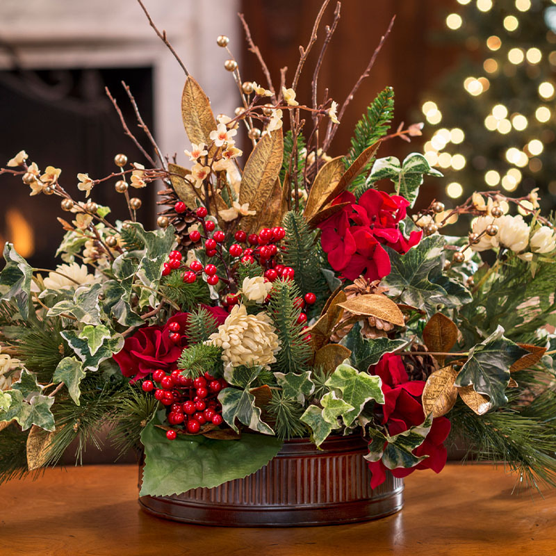 Elegant amaryllis blooms in festive display