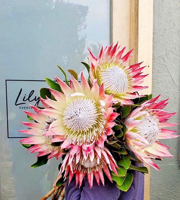 King Protea Bouquet